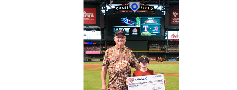 Diamondbacks Play Ball Grant